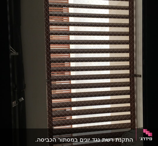 רשת מתכת מותקנת על חלון למניעת כניסת יונים